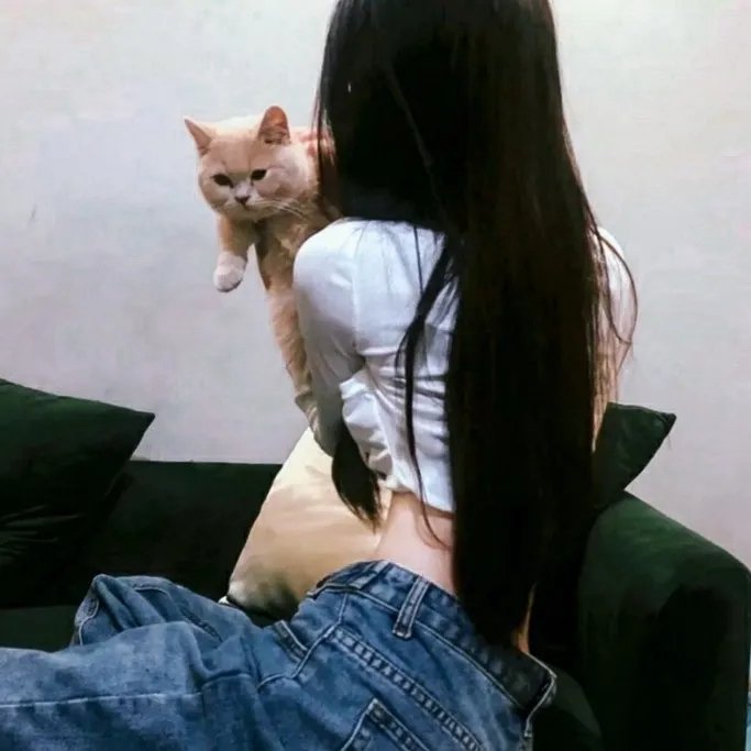 在秃鹫群下